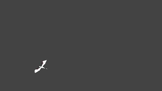 三维仙鹤动画视频的预览图