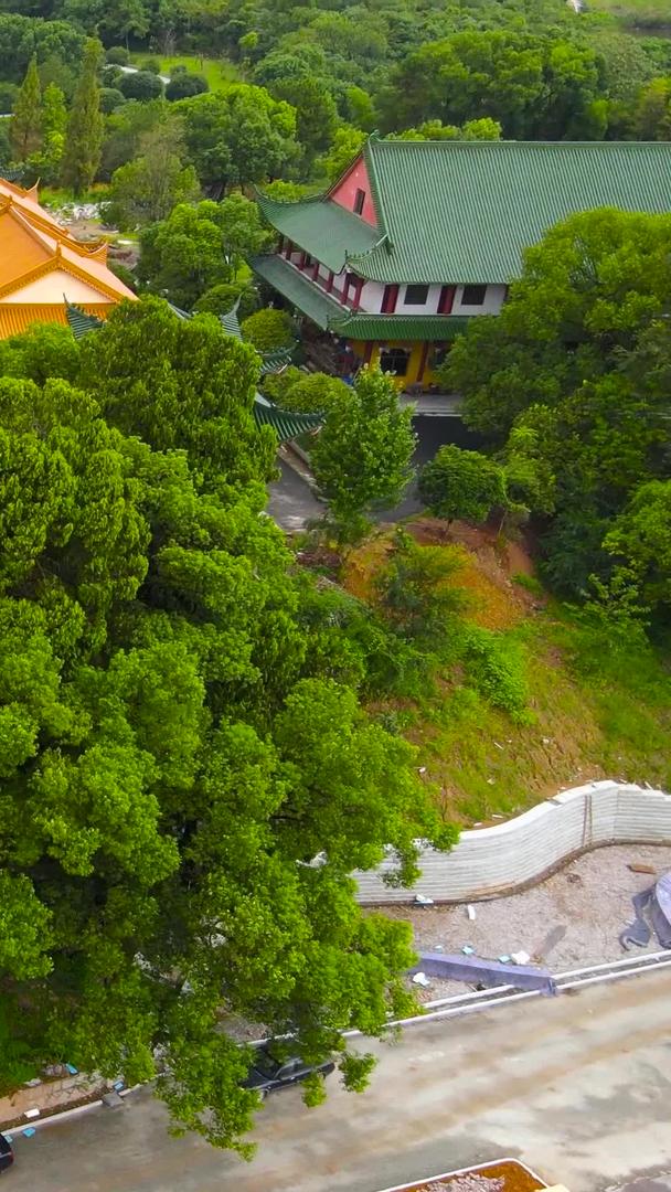 龙游石窟4A风景区竹林禅寺航拍集合集合视频的预览图