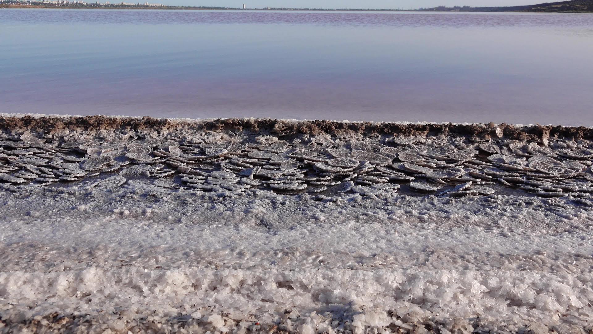 黑海盐以圆形煎饼的形式出现在底部和河口岸边视频的预览图