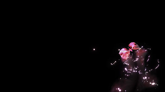 粉色残影粒子蝴蝶视频的预览图