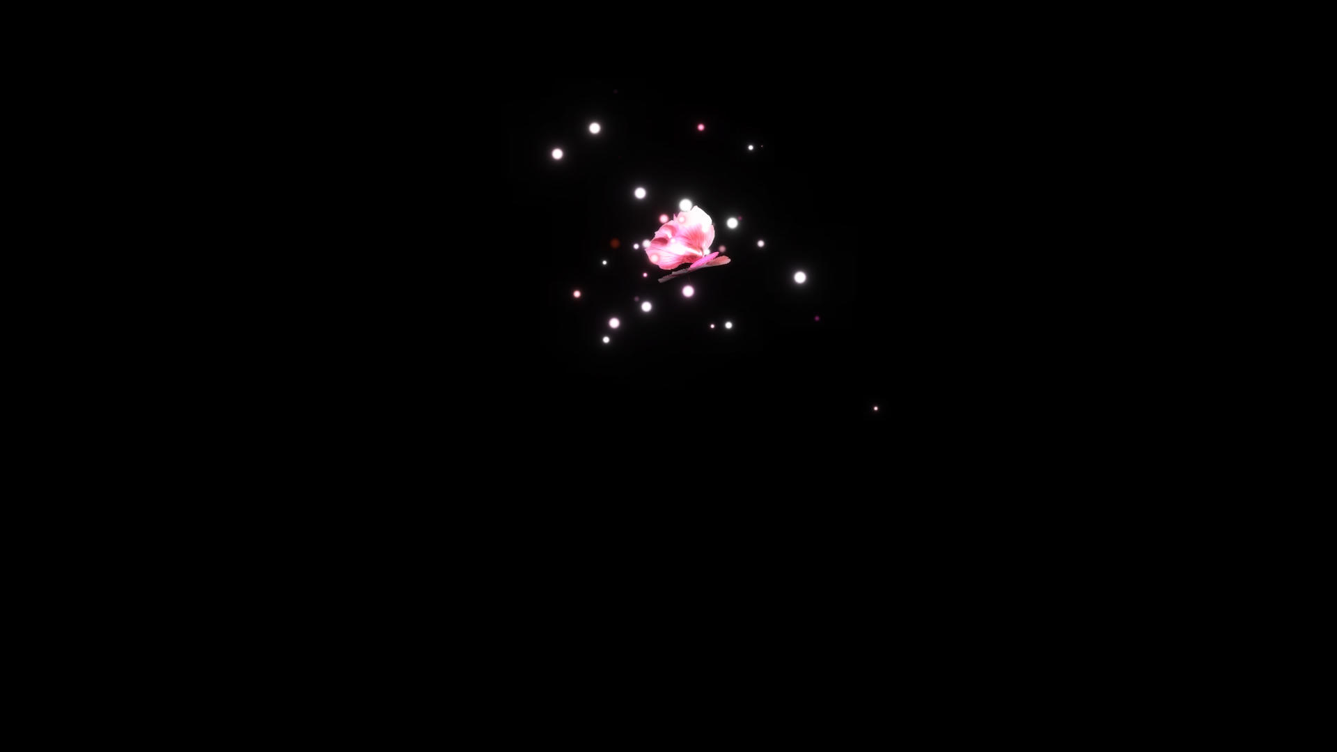 粉色花瓣粒子蝴蝶视频的预览图
