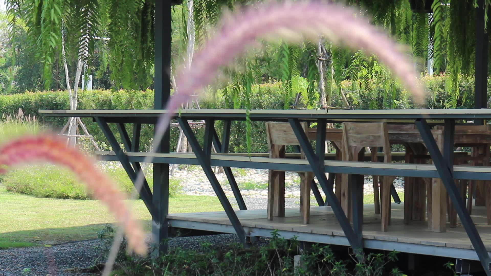郊区咖啡馆的自然放松环境视频的预览图