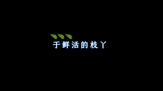 歌曲卡拉ok字幕pr模板视频的预览图