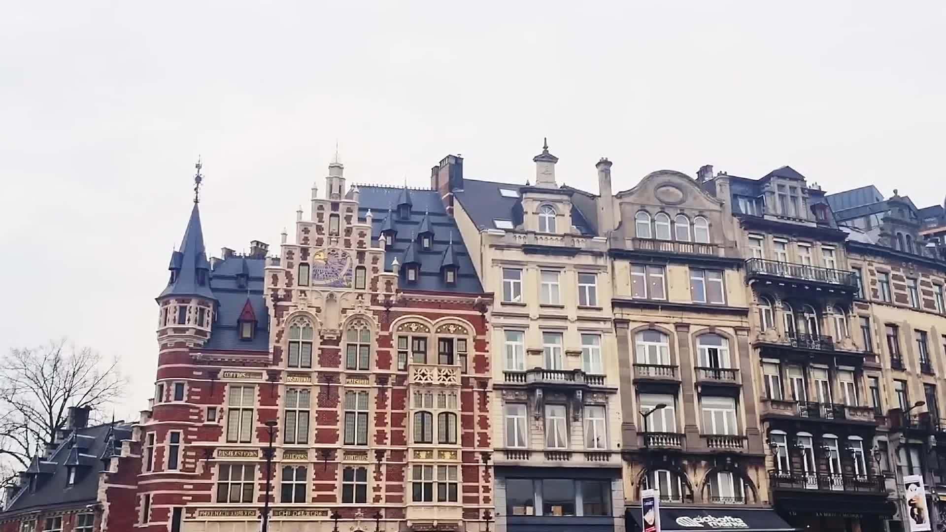 比利时的欧洲建筑和历史建筑视频的预览图