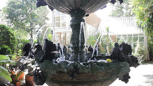 夏季室外花园喷泉视频的预览图