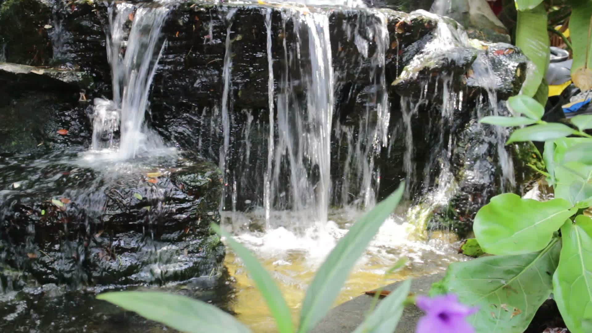 装饰在花园里的小瀑布视频的预览图