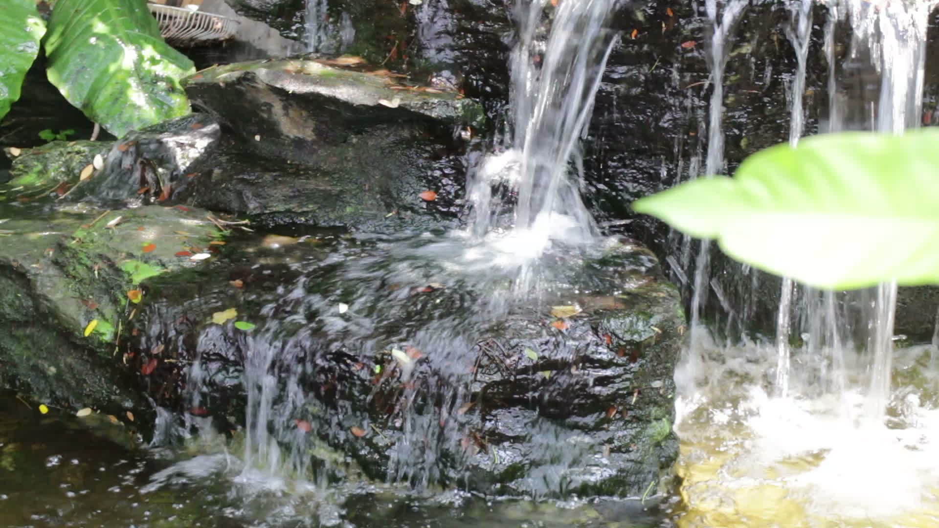 装饰在池塘里的小瀑布视频的预览图