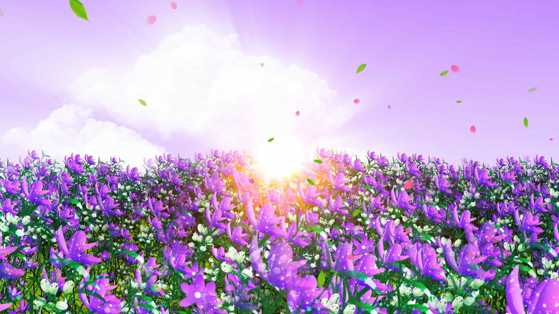 4K唯美的紫色花海背景素材视频的预览图