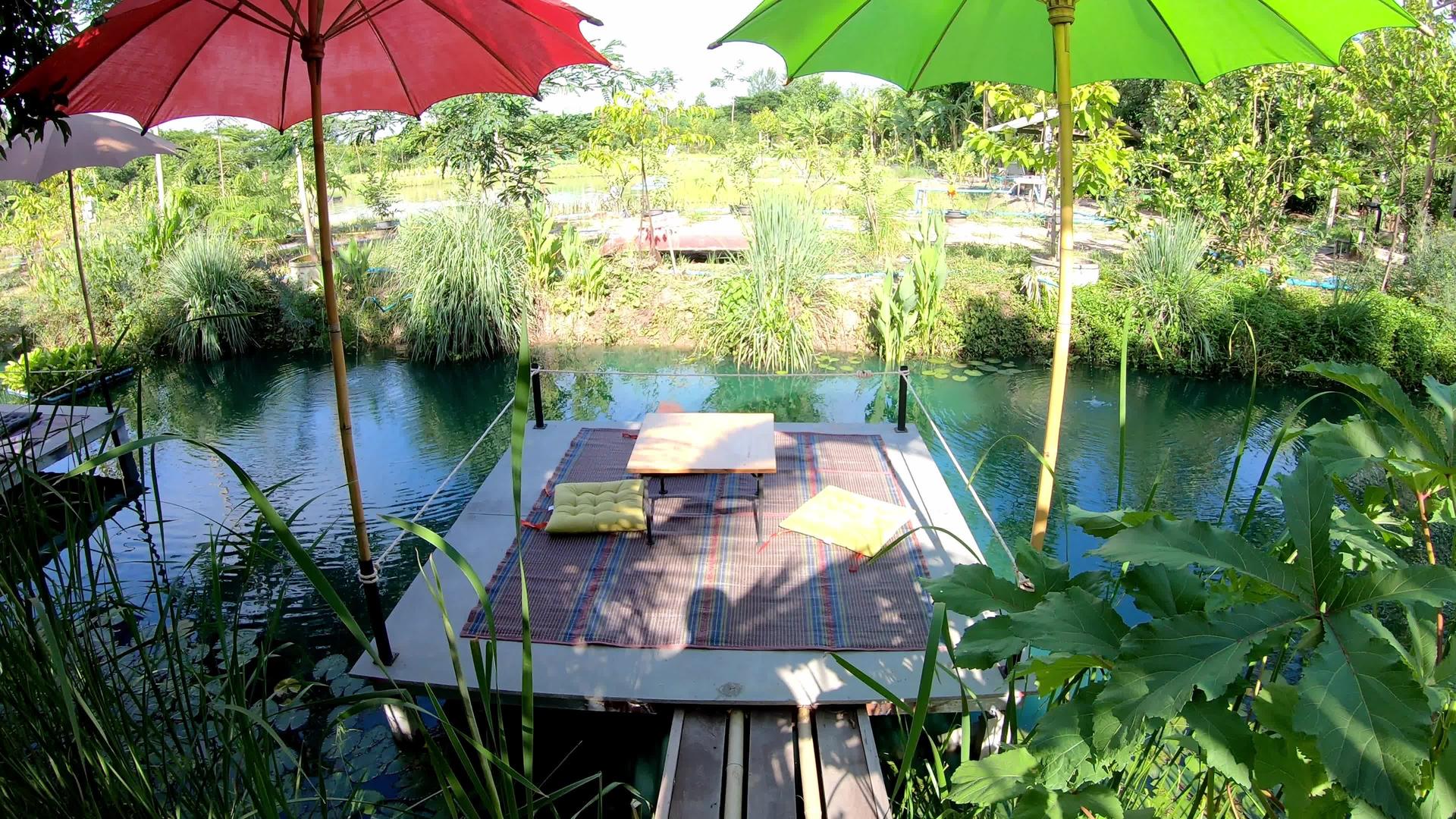 雨伞放在莲花池的木桌上视频的预览图