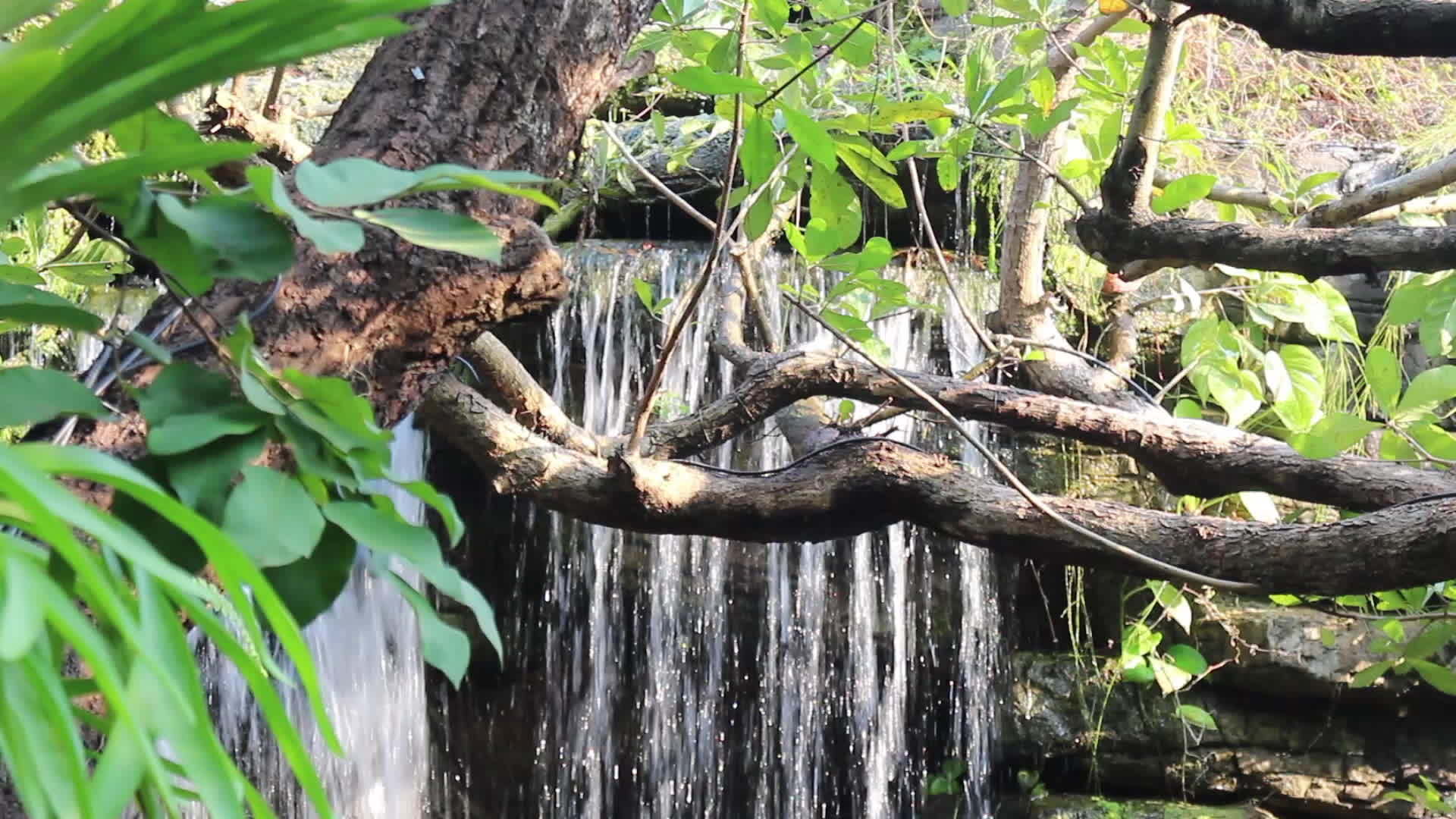 瀑布流向小溪视频的预览图