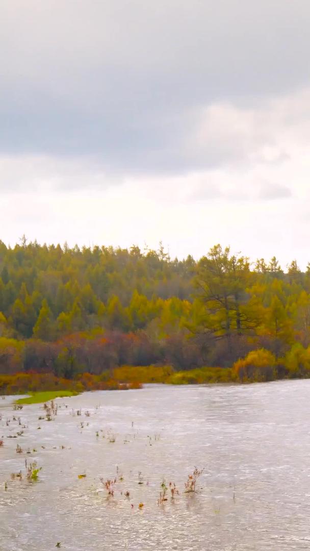 河草原秋色视频的预览图