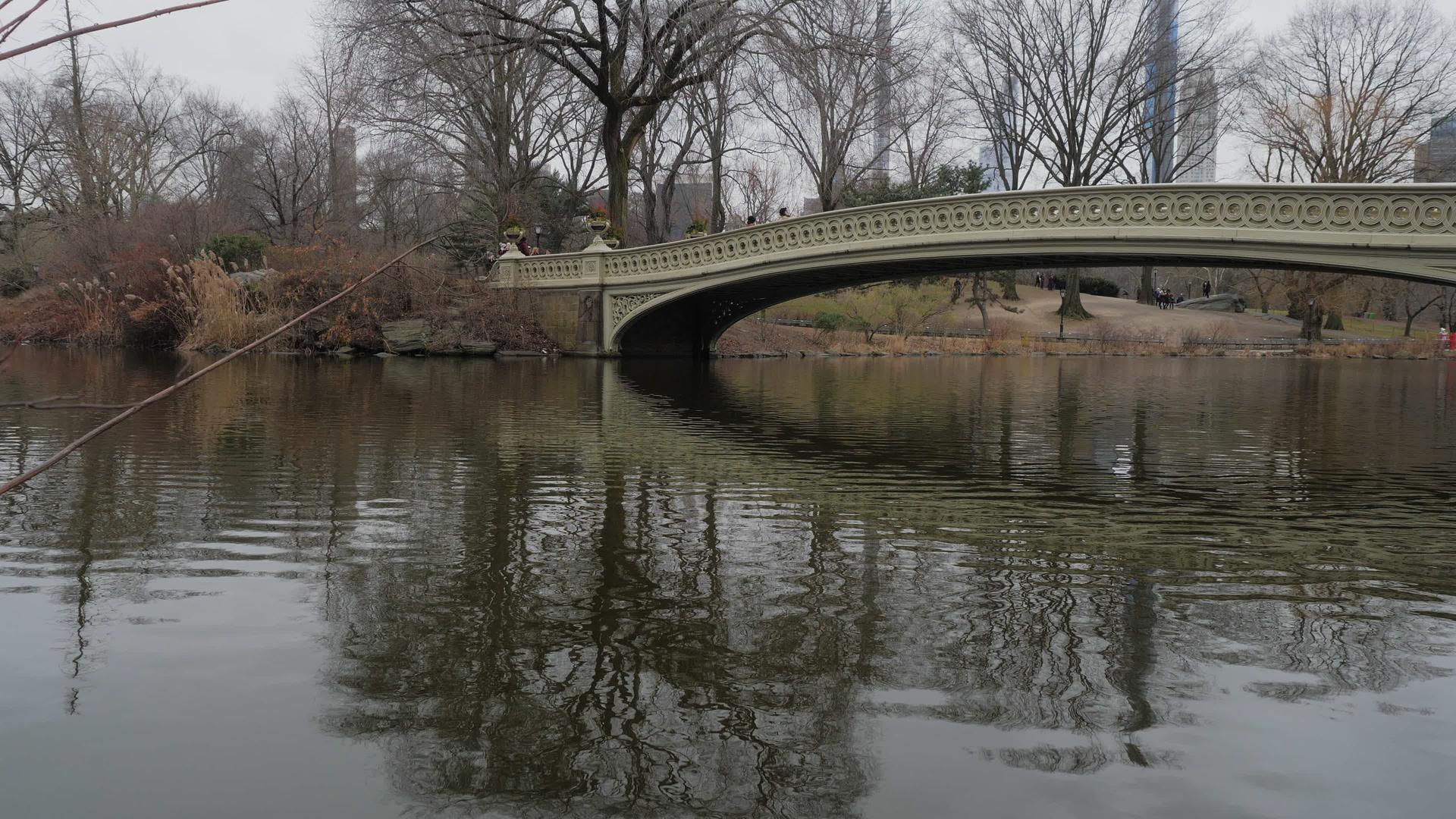 在中央公园的湖泊上架桥视频的预览图