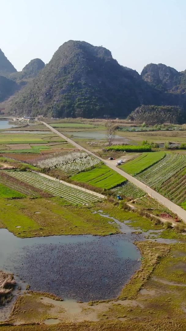 云南喀斯特地貌湿地公园普者黑景区航拍5A景区视频视频的预览图