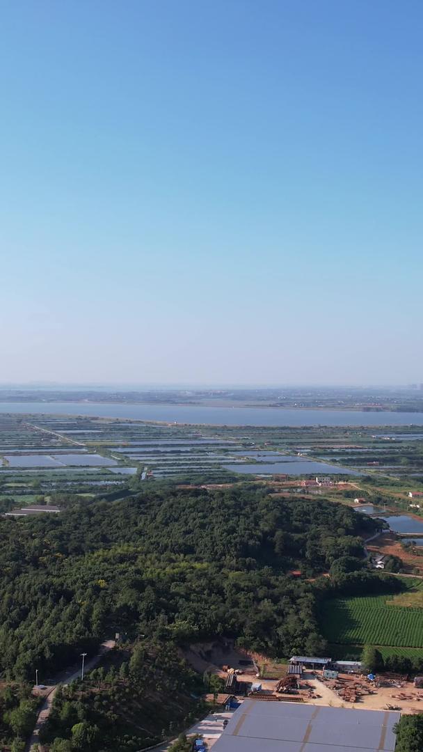 农村农业农田水稻自然风光素材视频的预览图