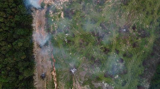 燃烧死油棕榈树的空气视图视频的预览图