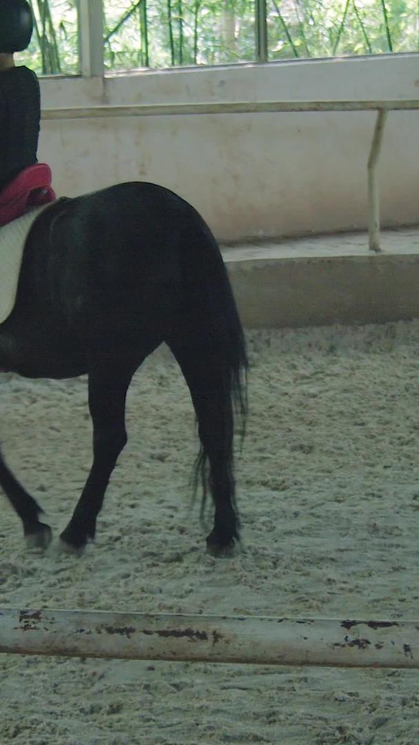 慢动作的骑马训练视频的预览图
