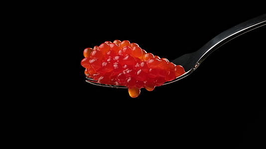 红鲑鱼鱼子酱黑色背景金属叉美味健康的食物视频的预览图