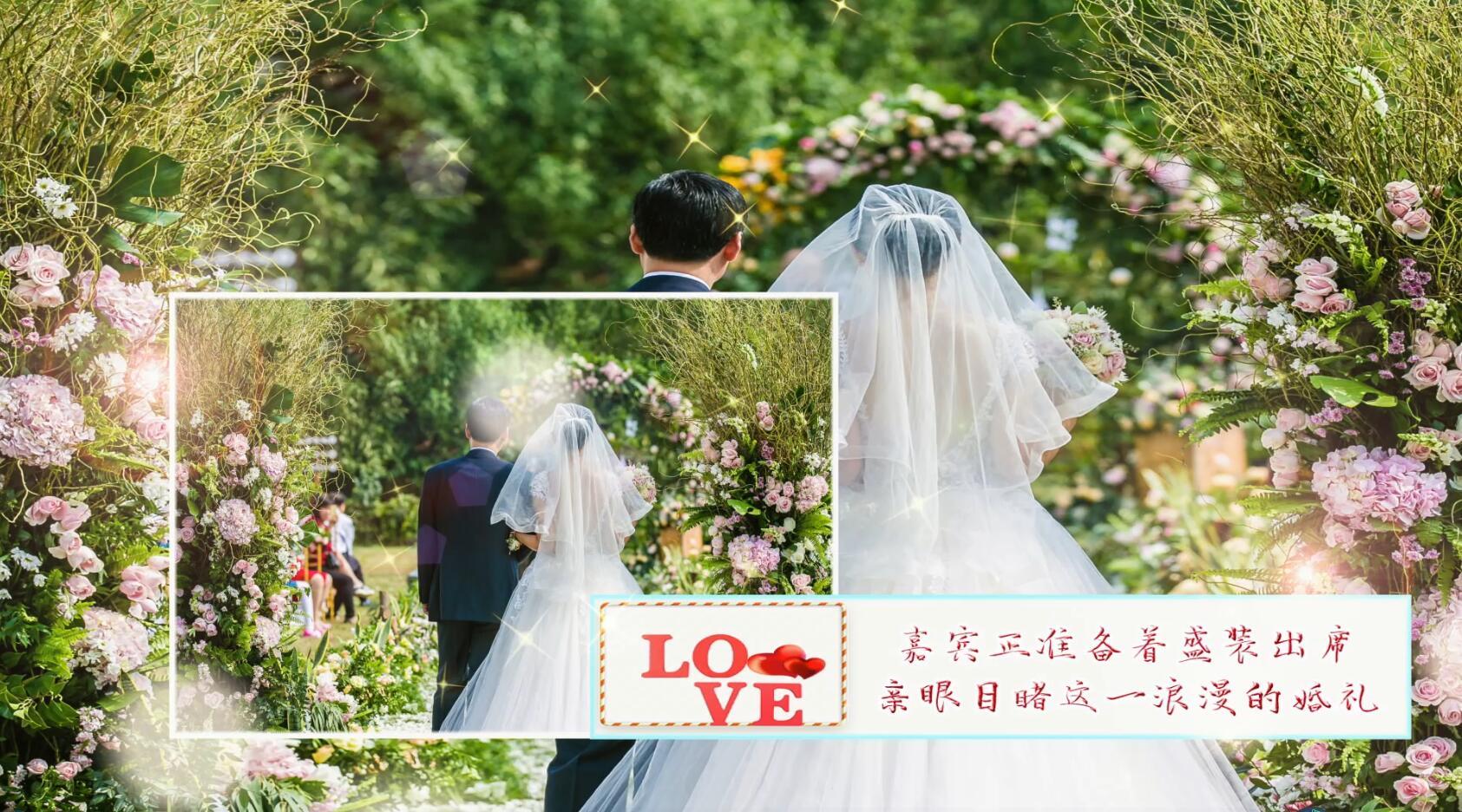 七夕婚礼表白相册浪漫婚礼模板EDIUS8模板视频的预览图