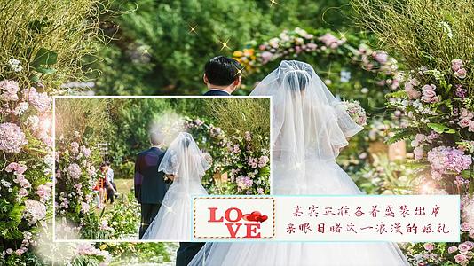 七夕婚礼表白相册浪漫婚礼模板EDIUS8模板视频的预览图