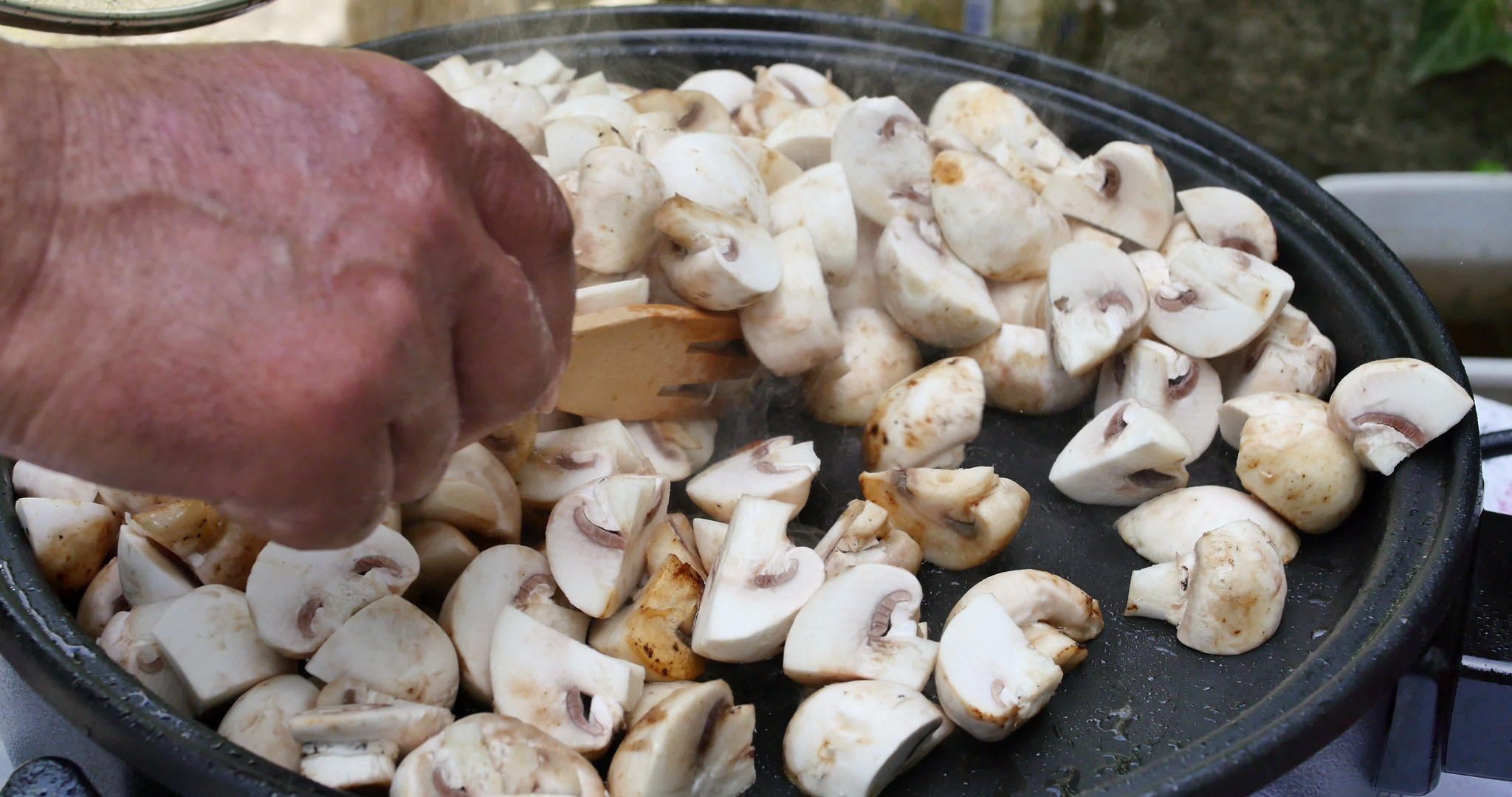 新鲜蘑菇4k视频的预览图