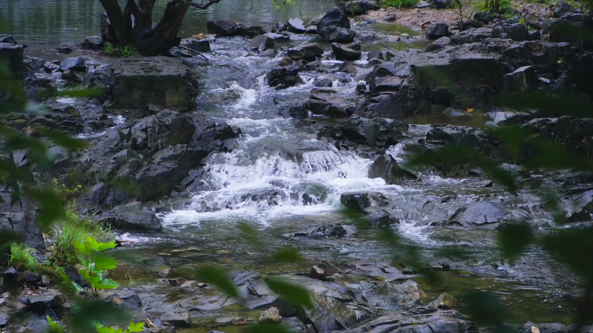 4K高山流水山泉水自然风光峡谷溪流视频的预览图