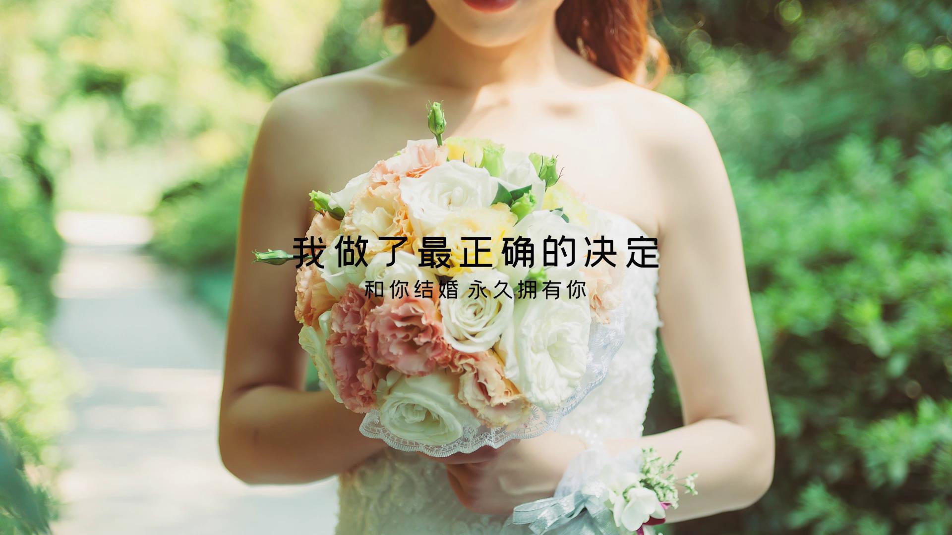 浪漫温馨简约婚礼相册Pr模板视频的预览图