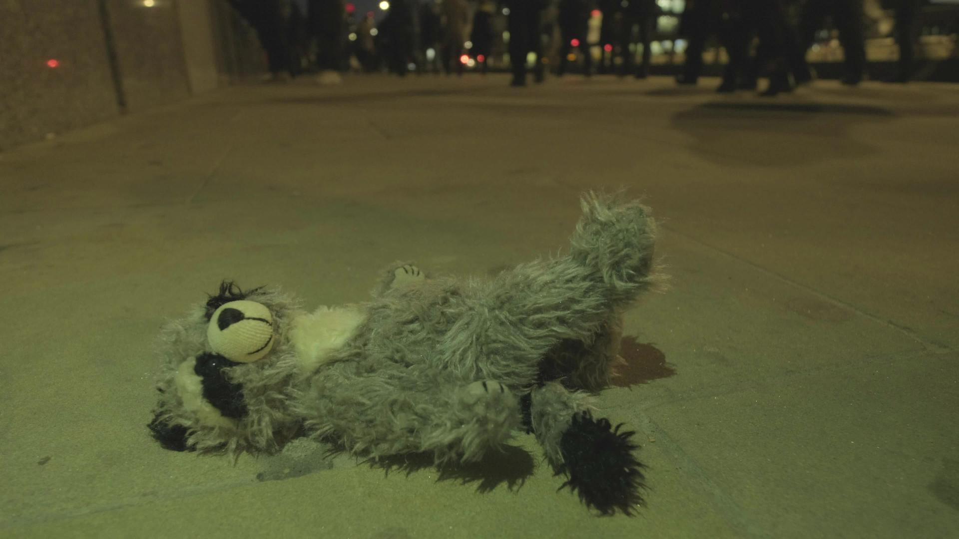 泰迪熊在夜间被遗弃视频的预览图