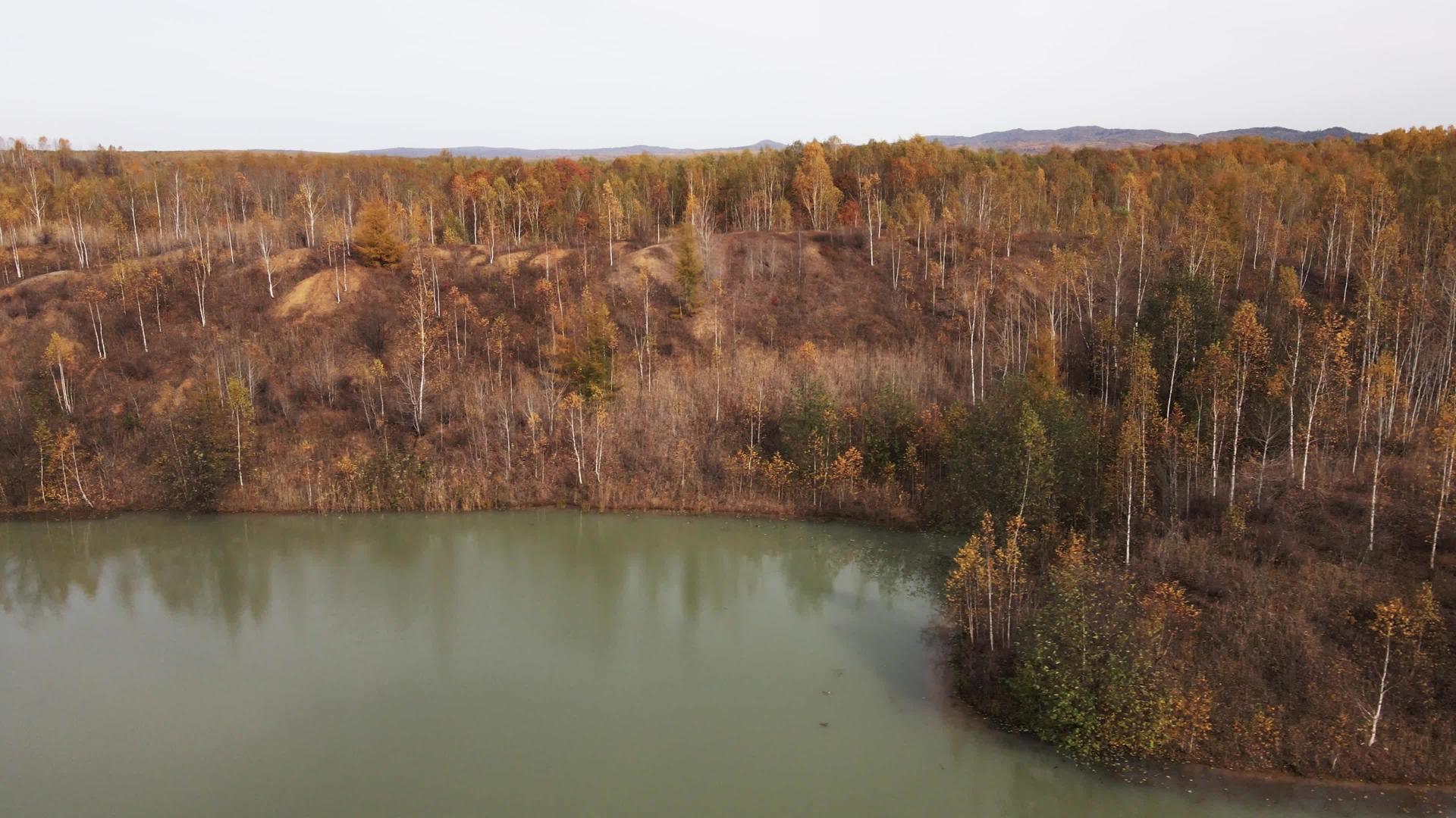 从上面的景色中一个光滑的湖泊和高树之间的金矿形成了一片美丽的土地视频的预览图