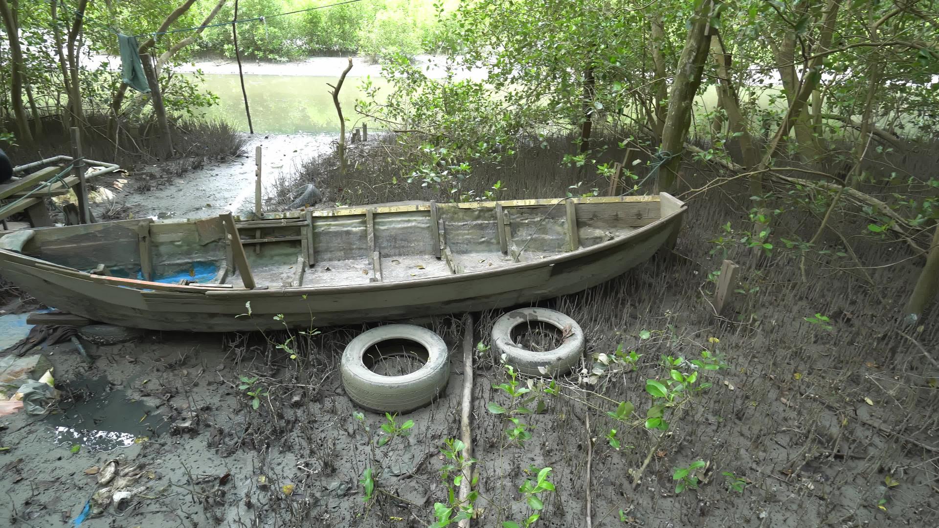 横渡废弃木船视频的预览图