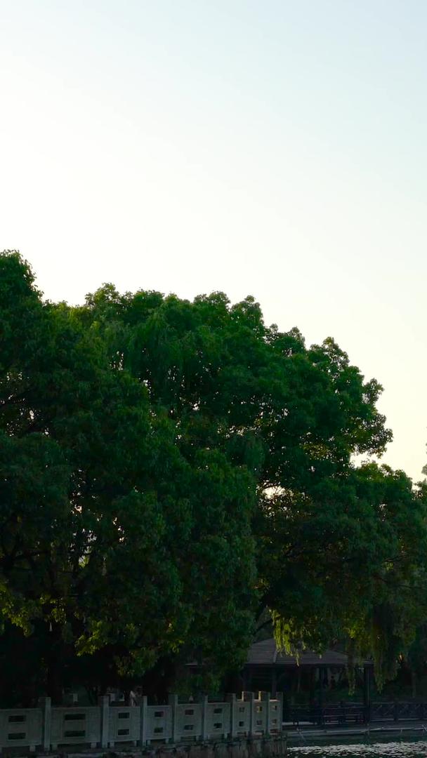南湖黄昏嘉兴5A景区实拍视频的预览图