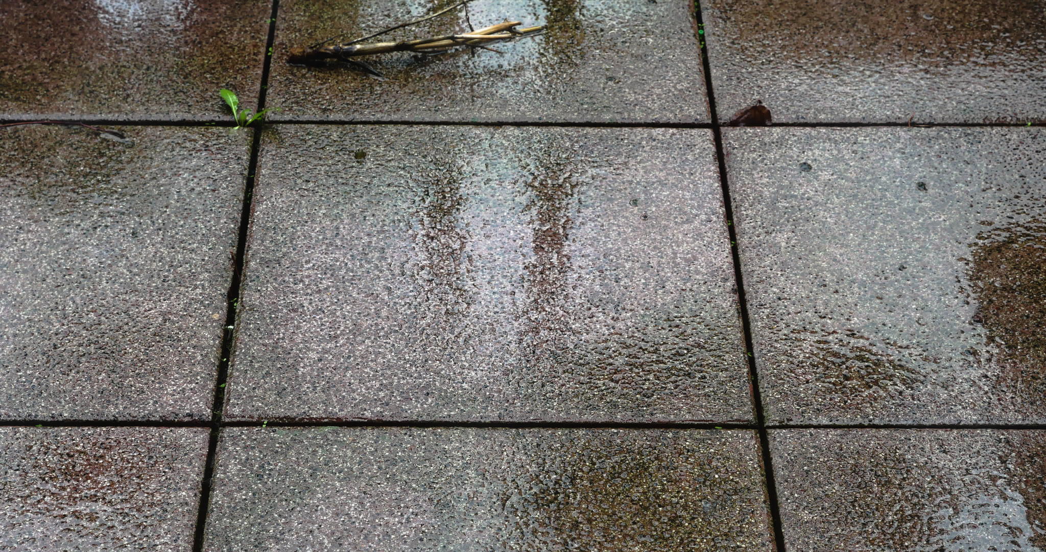 湿路块和雨延时视频的预览图
