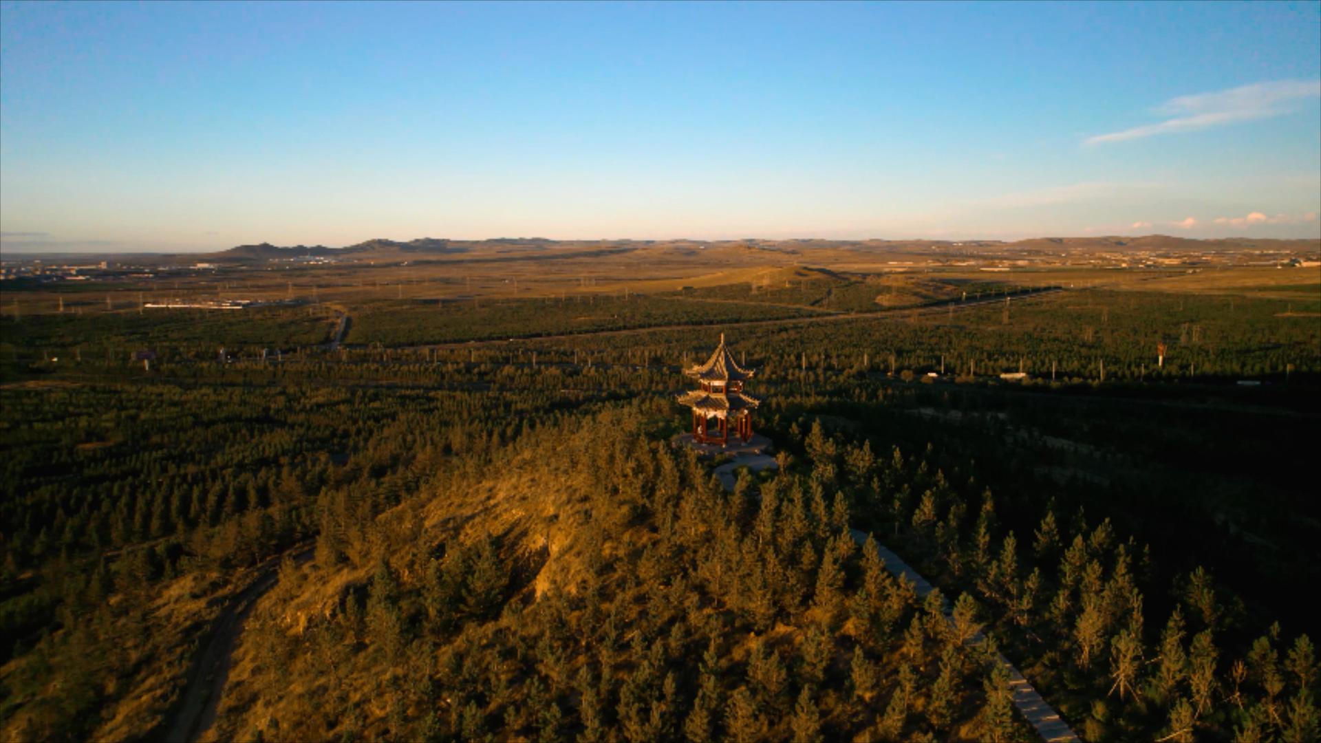 5k环绕航拍深秋夕阳下的森林公园和凉亭视频的预览图