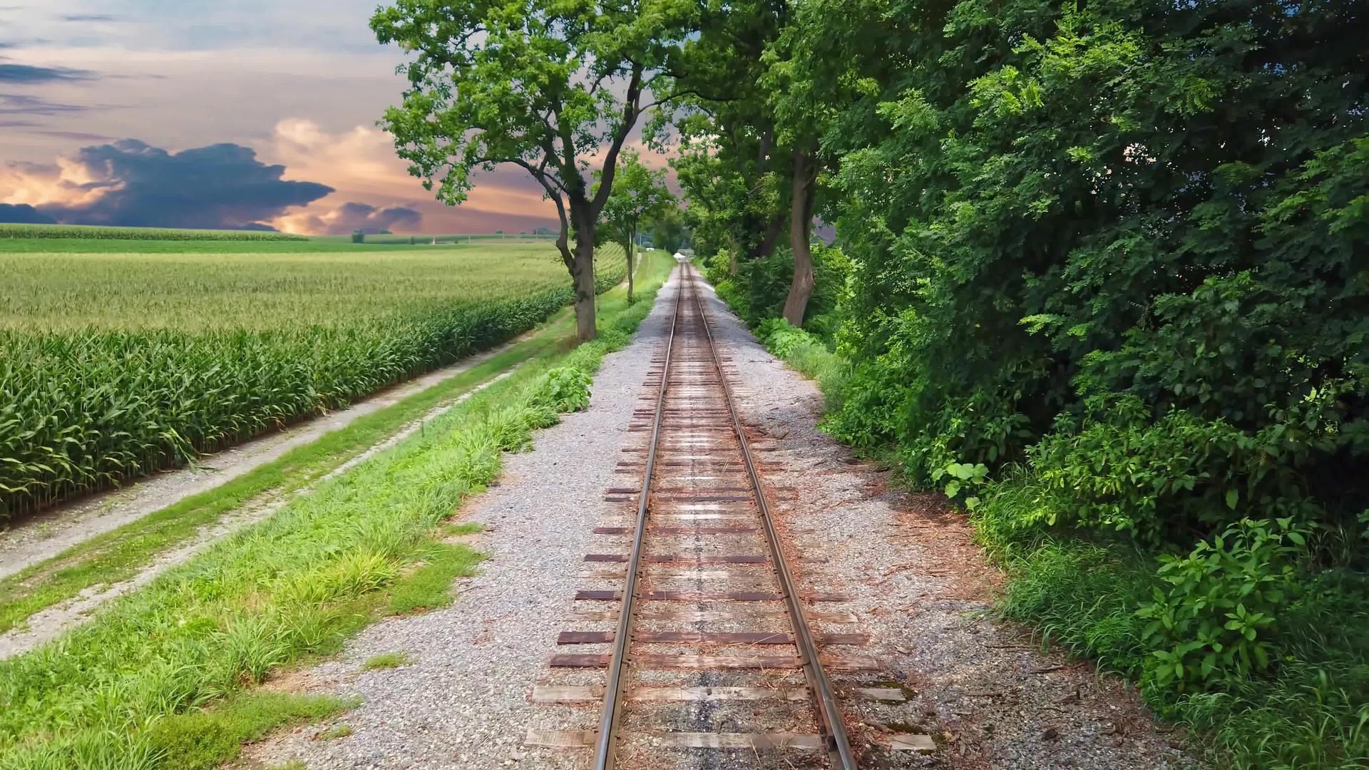 当火车在阳光明媚的夏天沿着田径村行驶时从火车后面看火车视频的预览图
