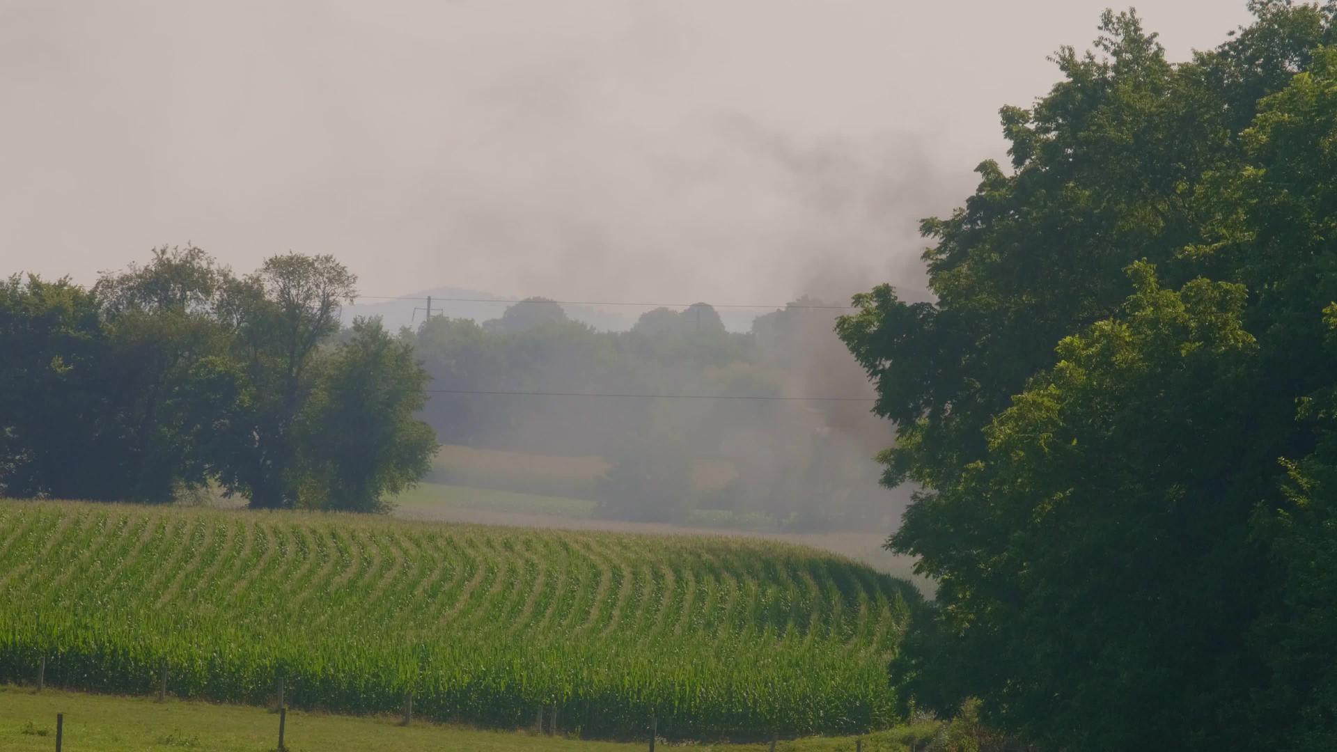 在一片多云的日子里玉米田上飘着烟视频的预览图