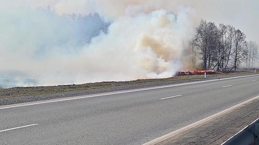 燃烧干草的火焰和大量烟雾在烧在公路路线附近燃烧视频的预览图