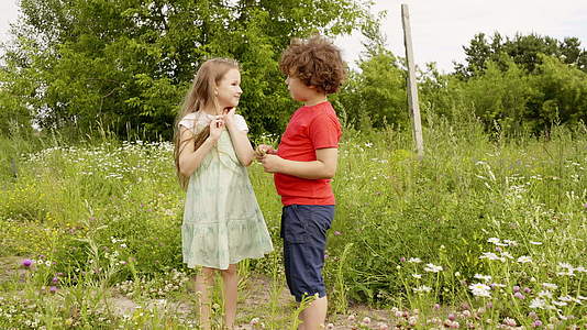 男孩和女孩看着花儿在暑假期间在绿色的田野里散步他们的兄弟视频的预览图