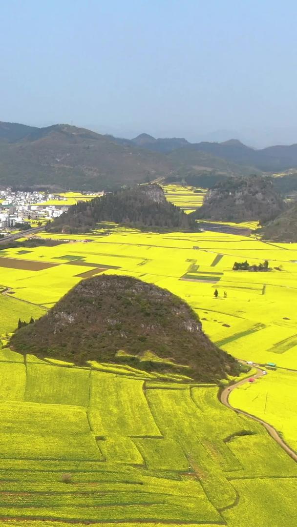 云南著名旅游景点罗平金鸡峰景区视频视频的预览图