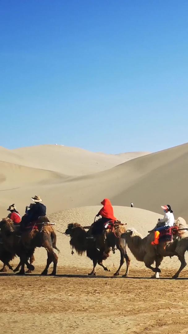 沙漠旅游骆驼队骑行观光视频素材视频的预览图