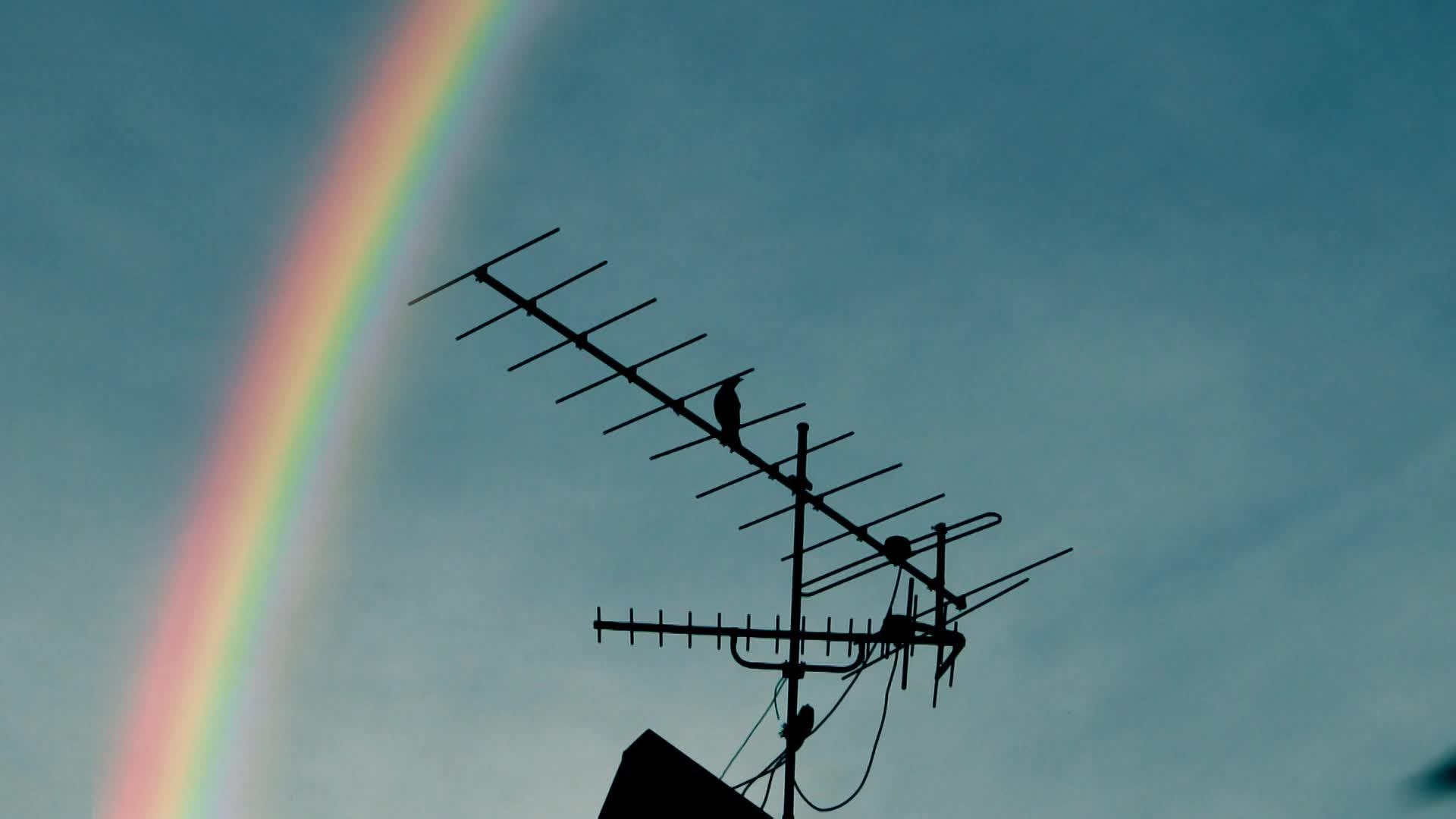 彩虹电视天线和乌鸦屋顶视频的预览图