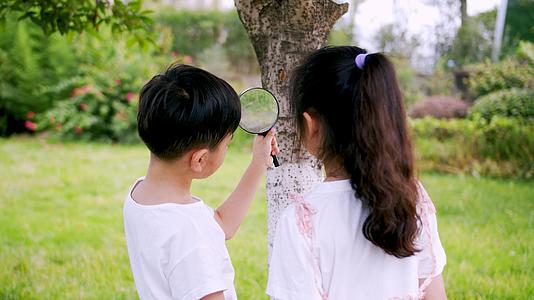 4k实拍小朋友在户外用放大镜认真观察远处植物视频的预览图