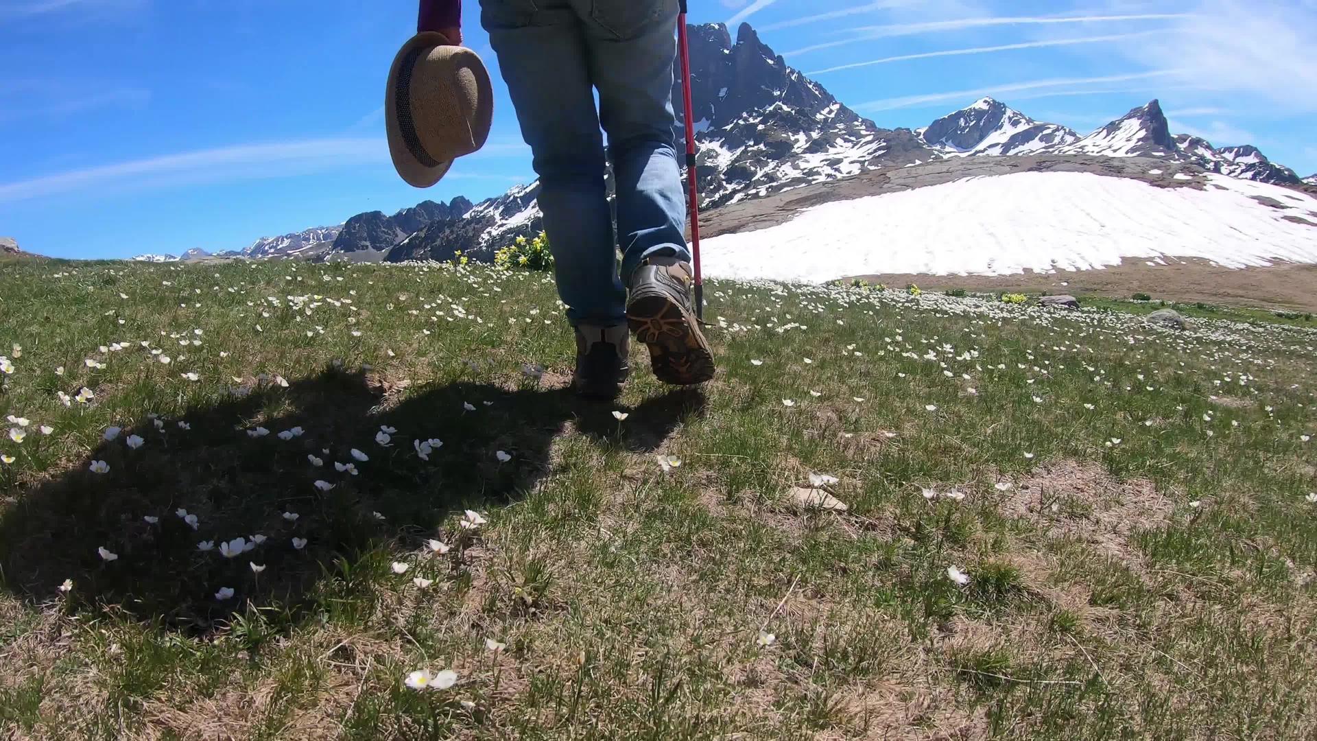 走在法国比利牛斯山的远足妇女的背景是视频的预览图