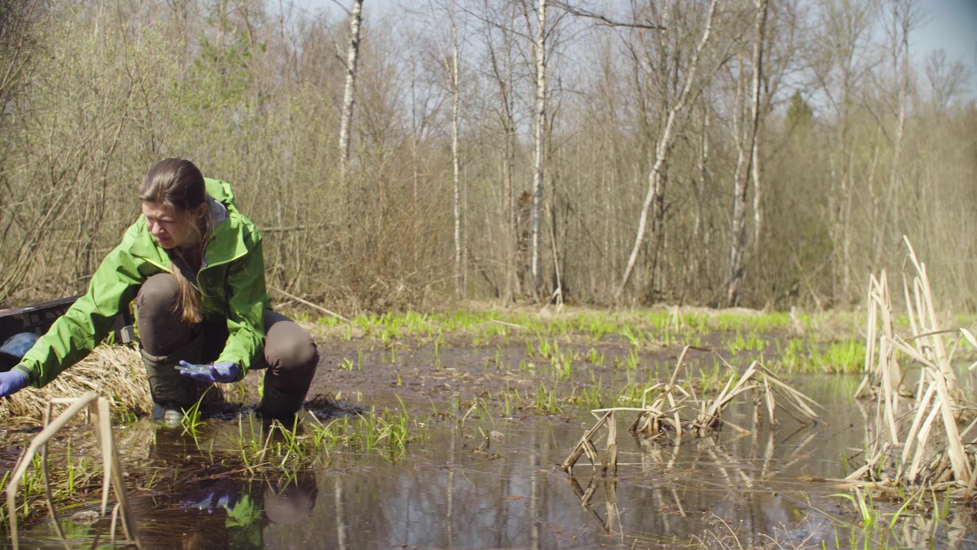 森林砍伐的生态学家视频的预览图