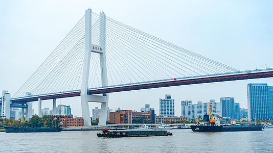 8K延时上海南浦大桥交通运输视频的预览图