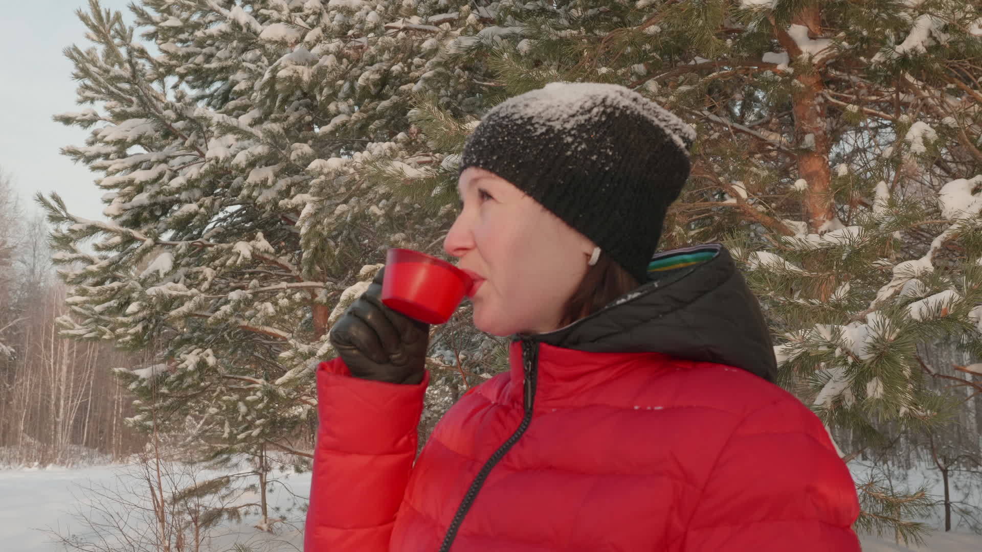 微笑着穿着红色冬夹克的女人在寒冷的一天在雪林里喝茶视频的预览图