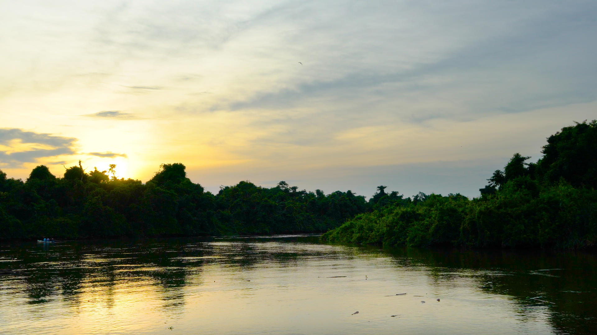 热带雨林河流落日延时4K视频的预览图
