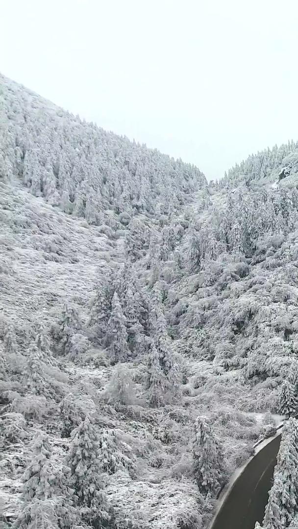 盘山公路在雪山之间视频的预览图