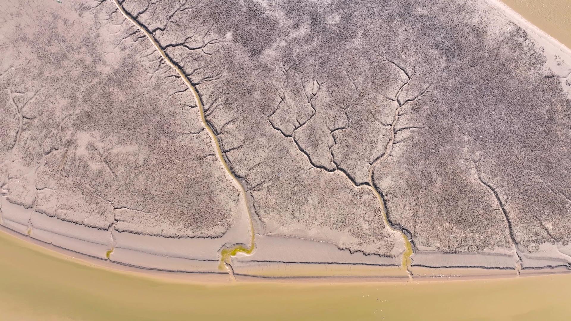 4K航拍沿海滩涂湿地条泥湿地景区树形滩涂湿地视频的预览图