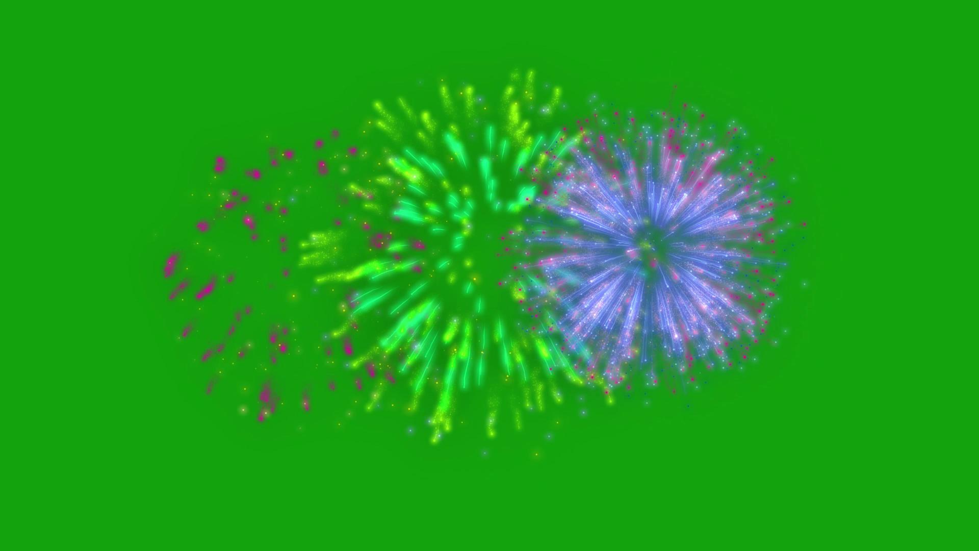 烟花绽放绿幕抠像特效素材4K 视频的预览图