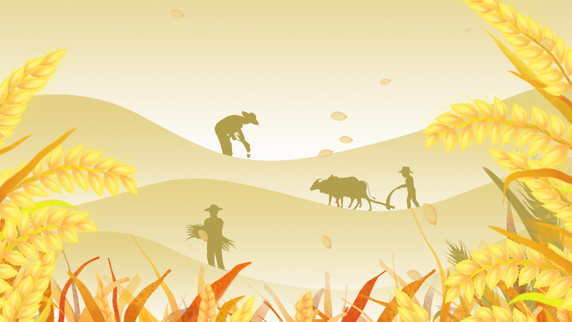 世界粮食日秋季粮食大丰收动态背景视频视频的预览图