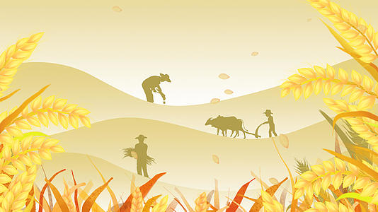 世界粮食日秋季粮食大丰收动态背景视频视频的预览图